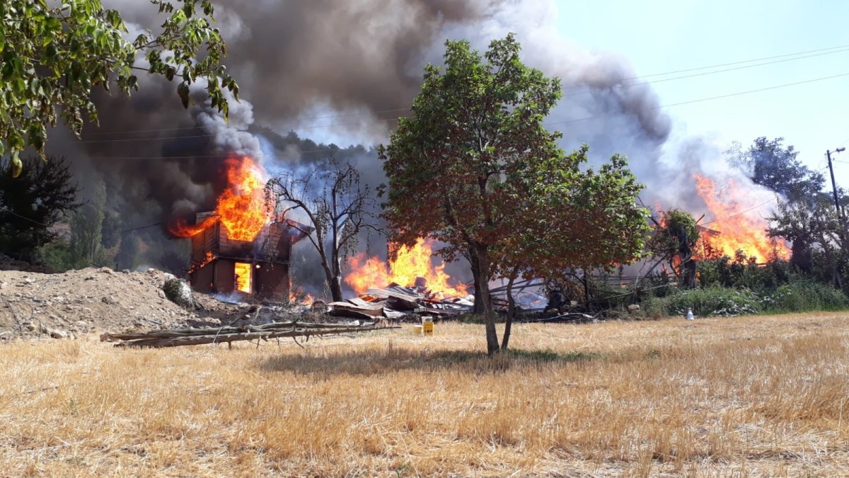 Adana'da 3 evi kül edip ormana sıçrayan yangın, 3 saatte söndürüldü