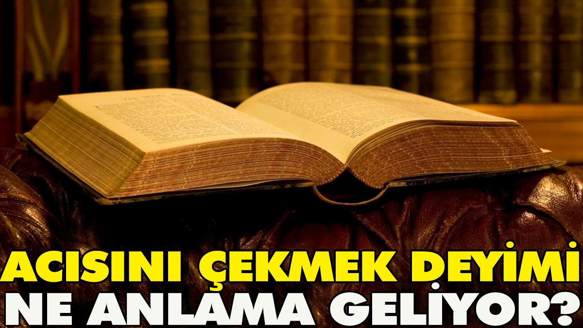 Acısını çekmek deyimi ne anlama geliyor?