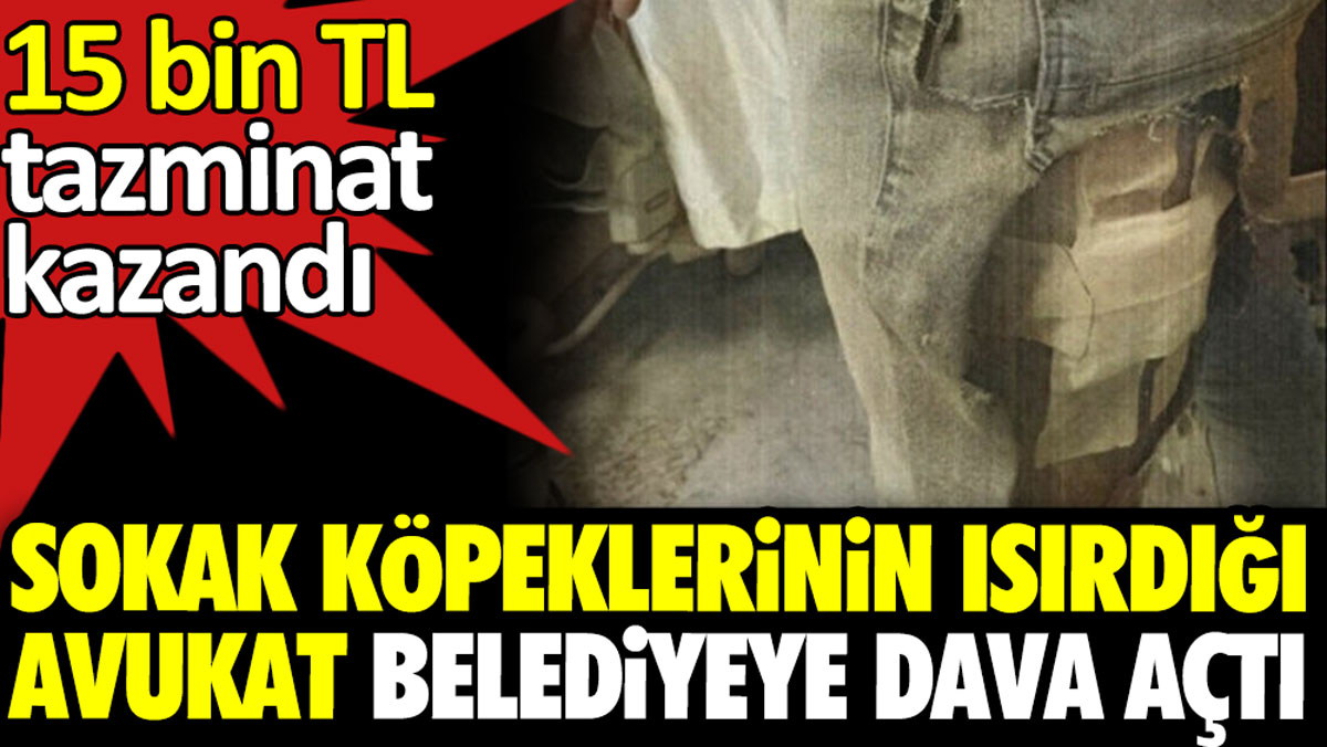 İzmir'de sokak köpeklerinin ısırdığı avukat belediyeye dava açtı. 15 bin TL tazminat kazandı