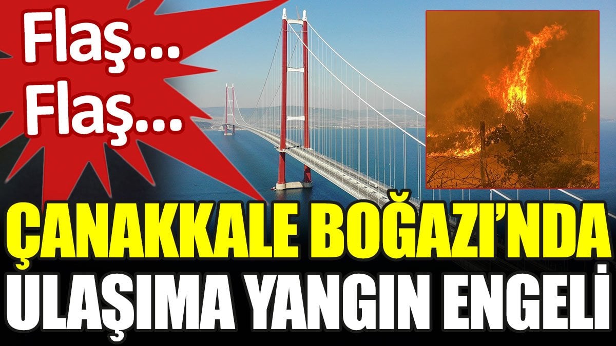 Çanakkale Boğazı'nda ulaşıma yangın engeli