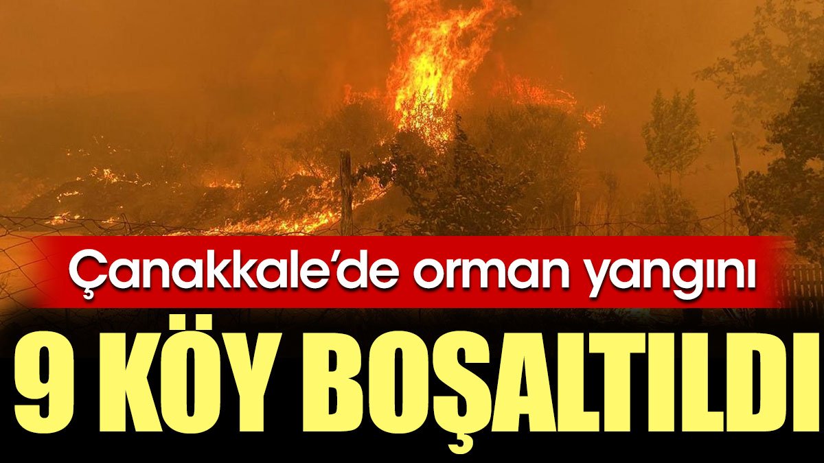 Çanakkale'de orman yangını: 9 köy boşaltıldı