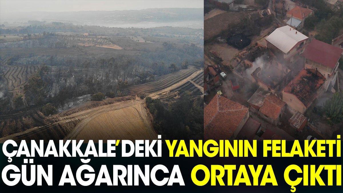 Çanakkale'deki yangının felaketi gün ağarınca ortaya çıktı