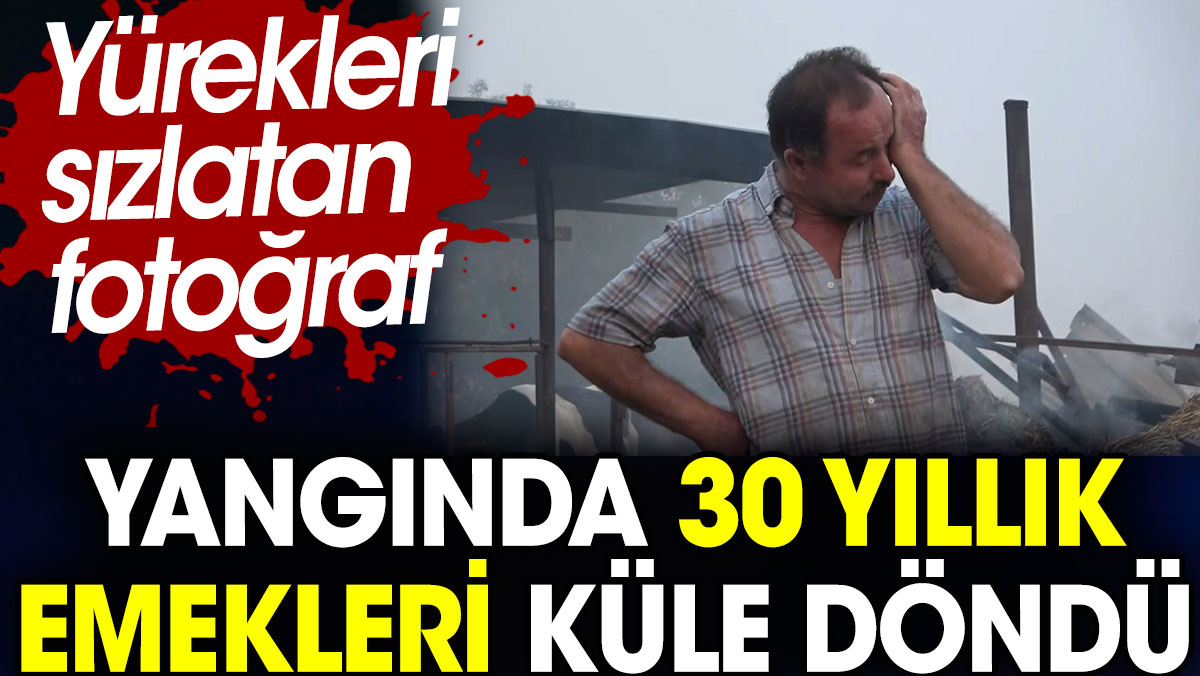 Çanakkale'deki yangında 30 yıllık emekleri küle döndü.  Yürekleri sızlatan fotoğraf