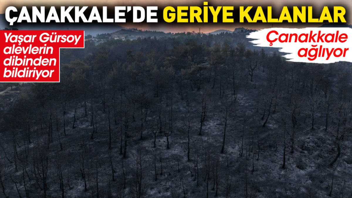 Çanakkale'de geriye kalanlar. Çanakkale ağlıyor