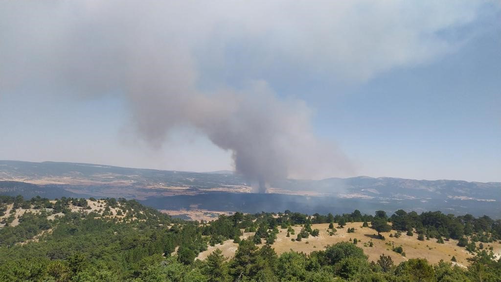 Eskişehir'de orman yangını yerleşim yerlerine doğru ilerliyor