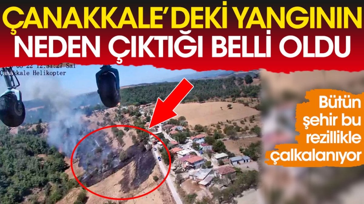 Çanakkale'deki yangının neden çıktığı belli oldu. Bütün şehir bu rezillikle çalkalanıyor