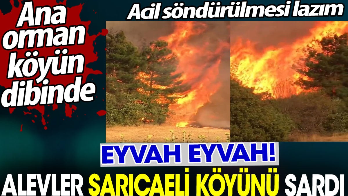 Alevler Sarıcaeli köyünü sardı. Eyvah Eyvah. Ana orman köyün dibinde