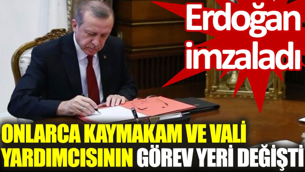 Erdoğan'dan imzaladı: Onlarca kaymakam ve vali yardımcısının görev yeri değişti