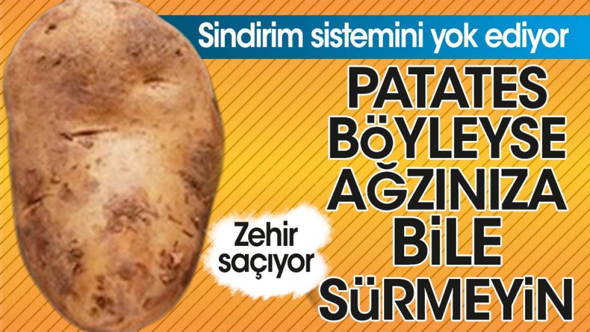 Patates böyleyse ağzınıza bile sürmeyin. Zehir saçıyor. Sindirim sistemini yok ediyor