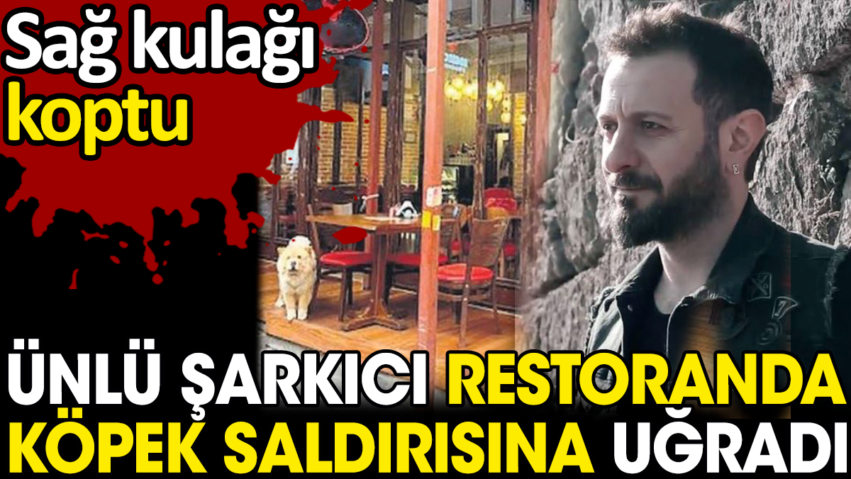 Şarkıcı Ali Kal restoranda köpek saldırısına uğradı. Sağ kulağı koptu