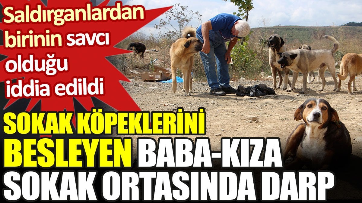 Sokak köpeklerini besleyen baba-kıza sokak ortasında darp. Saldırganlardan birinin savcı olduğu iddia edildi