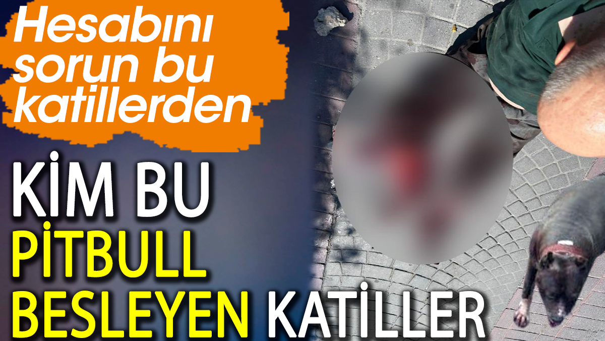 Kim bu pitbull besleyen katiller? Hesabını sorun bu katillerden