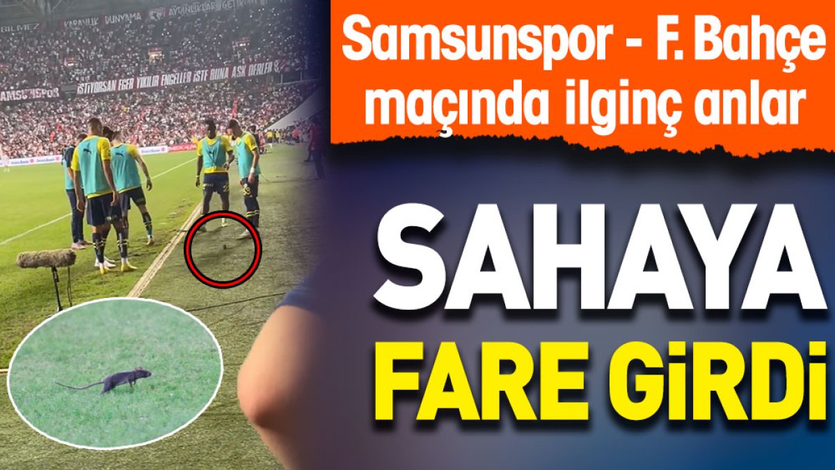 Samsunspor-Fenerbahçe maçında sahaya fare girdi