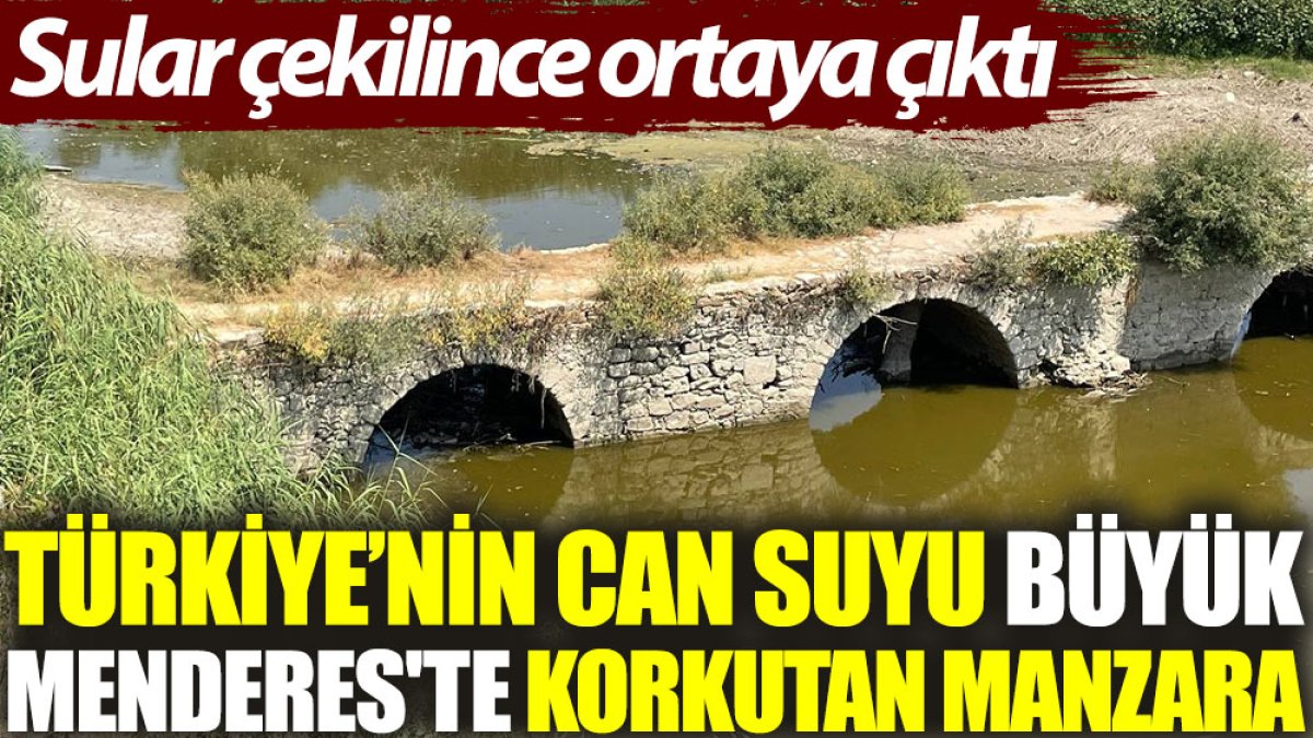 Türkiye’nin can suyu Büyük Menderes'te korkutan manzara: Sular çekilince ortaya çıktı