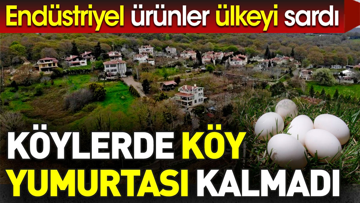 Köylerde köy yumurtası kalmadı. Endüstriyel ürünler ülkeyi sardı