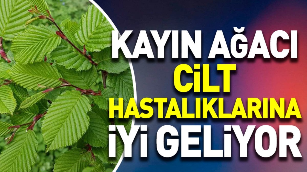 Mucize bitki Cilt hastalıklarına iyi geliyor