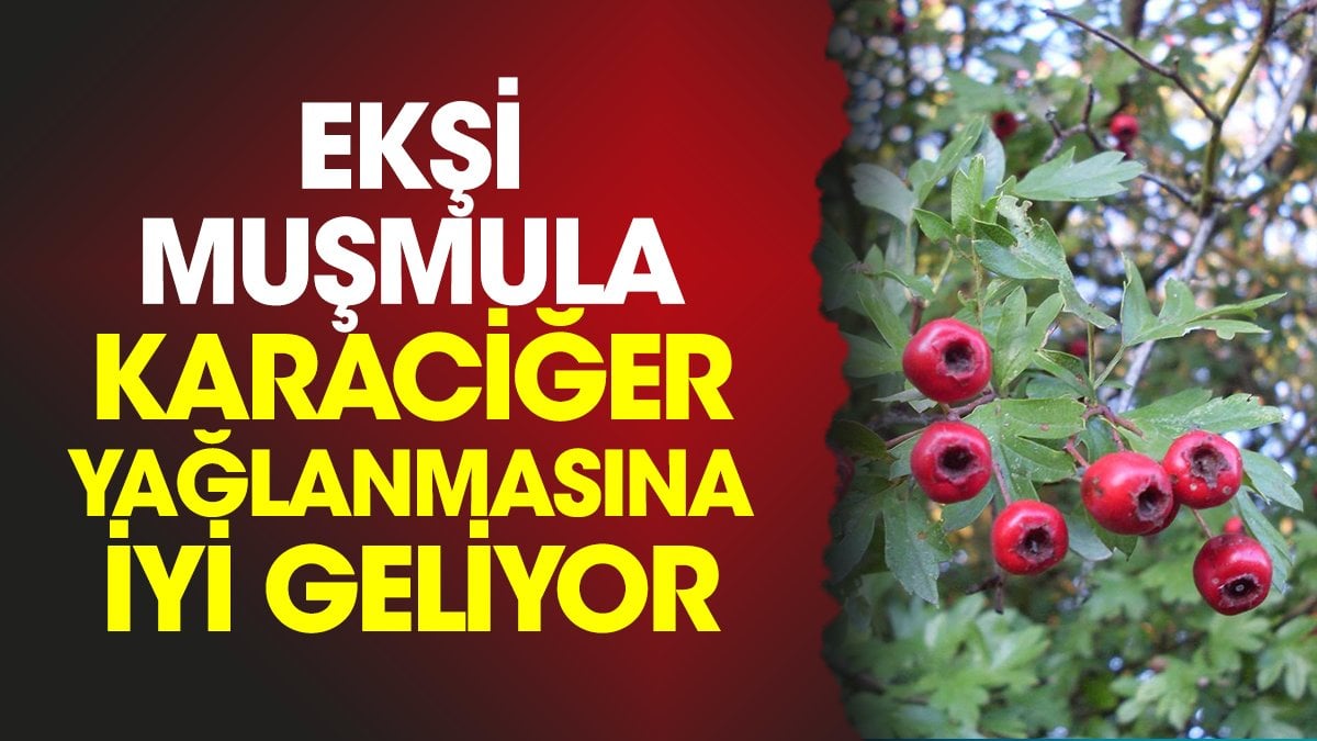 Ekşi muşmula karaciğer yağlanmasına iyi geliyor