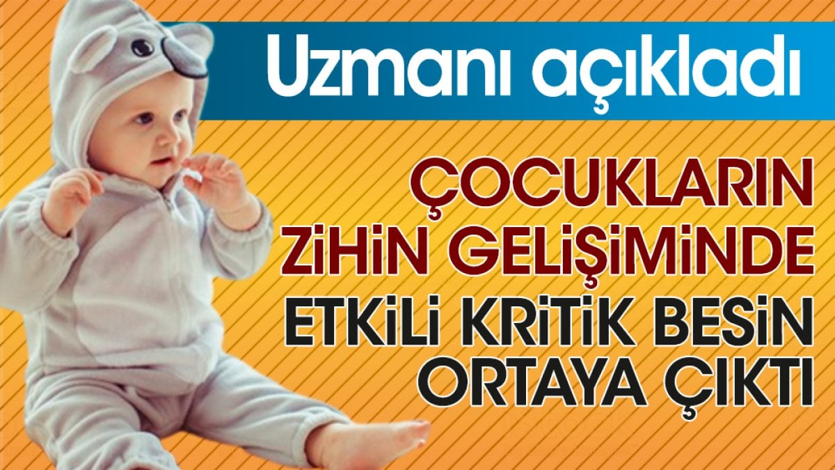 Uzmanı çocukların zihin gelişiminde etkili kritik besini açıkladı