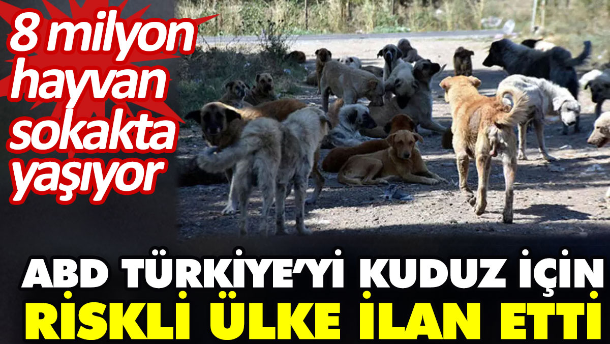 ABD Türkiye’yi kuduz için riskli ülke ilan etti. 8 milyon hayvan sokakta yaşıyor