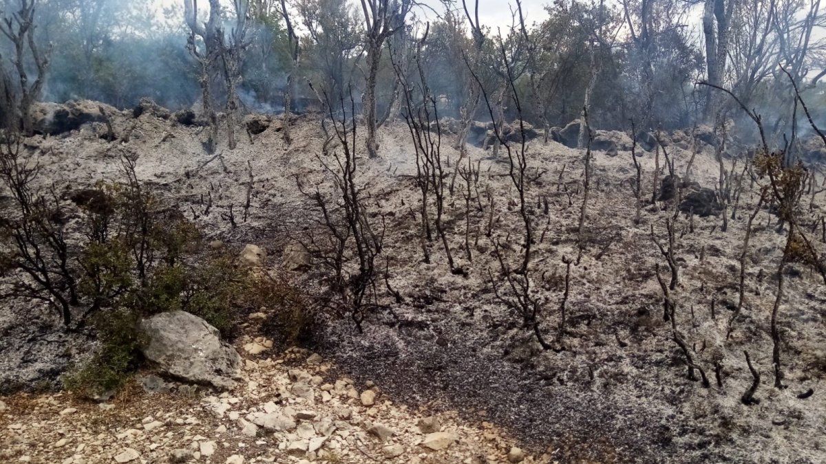 Isparta'da bahçe temizliği orman yangınına neden oldu