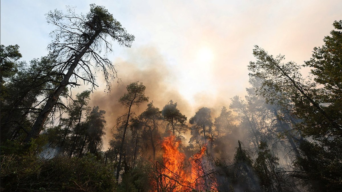 Yunanistan'da orman yangını 16. gününde de devam ediyor