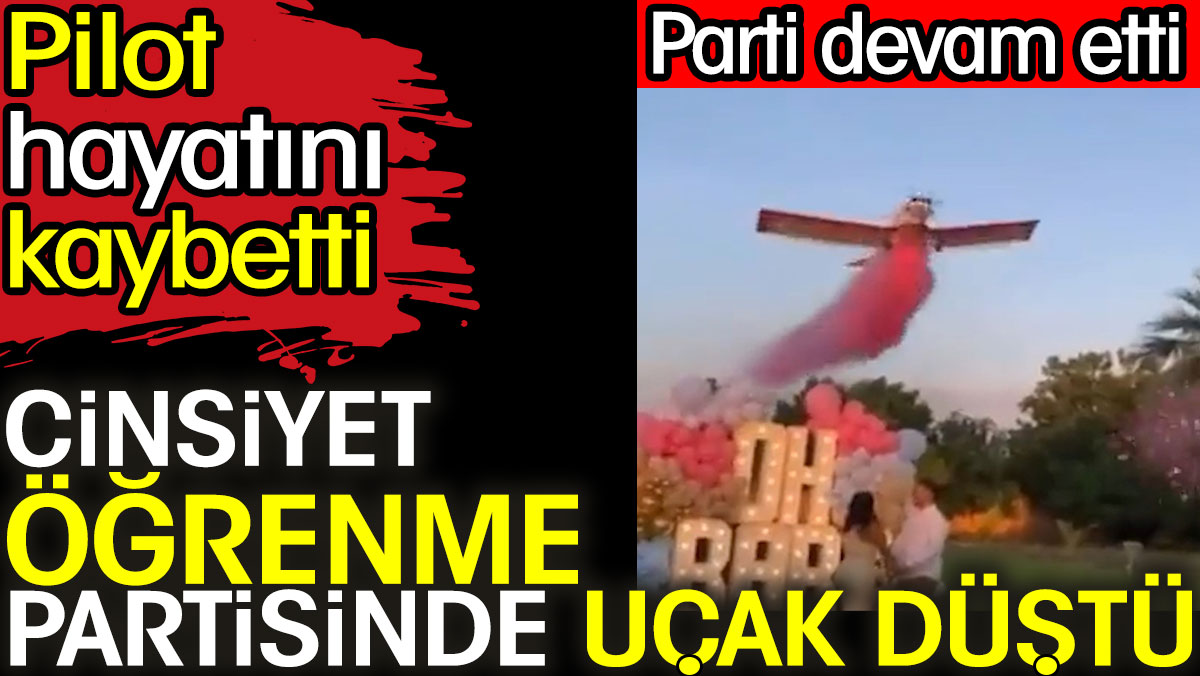 Cinsiyet öğrenme partisinde uçak düştü. Pilot hayatını kaybetti. Parti devam etti