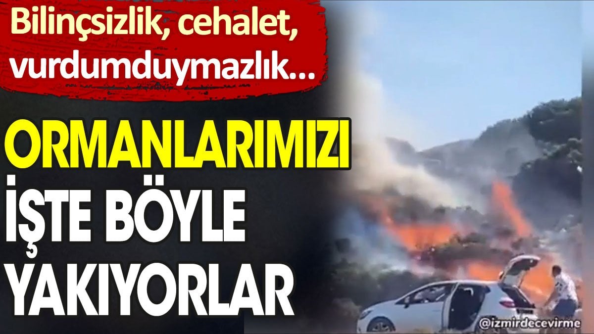 Bilinçsizlik, cehalet, vurdumduymazlık… Ormanlarımızı işte böyle yakıyorlar