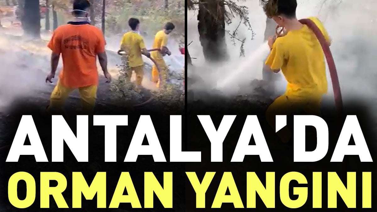 Antalya'da orman yangını