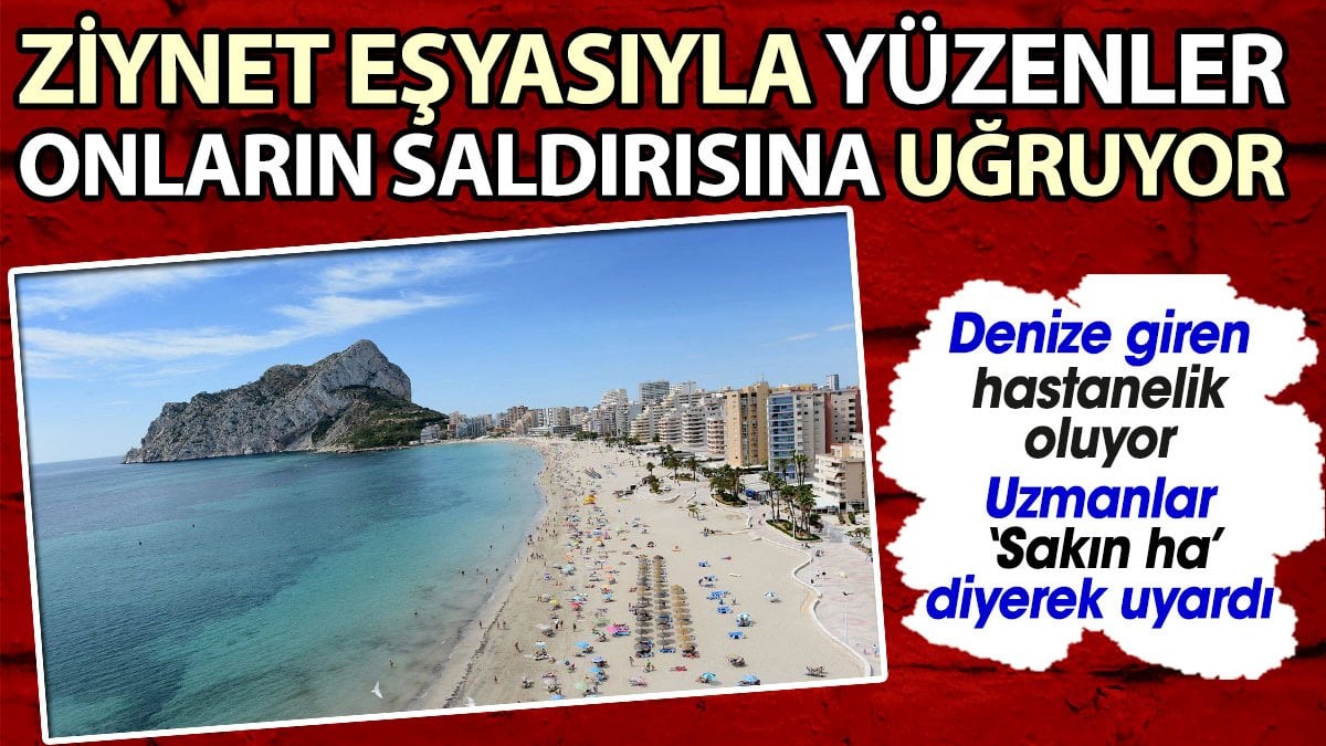 Ziynet eşyasıyla yüzenler onların saldırısına uğruyor. Uzmanlar ‘sakın ha’ diyerek uyardı