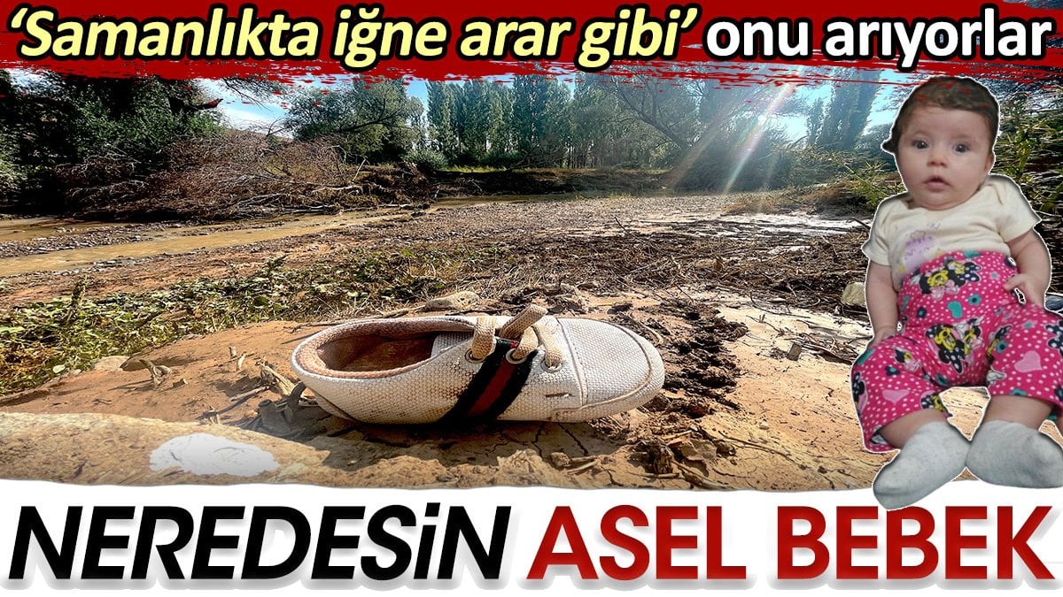 Neredesin Asel bebek. Samanlıkta iğne arar gibi onu arıyorlar