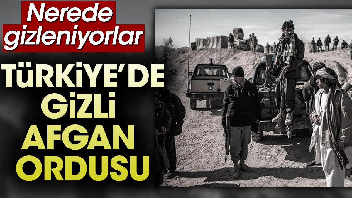Türkiye'de gizli Afgan Ordusu. Nerede gizleniyorlar