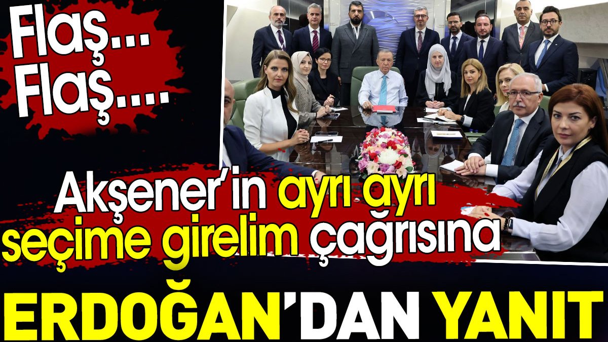 Akşener’in ayrı ayrı seçime girelim çağrısına Erdoğan'dan yanıt