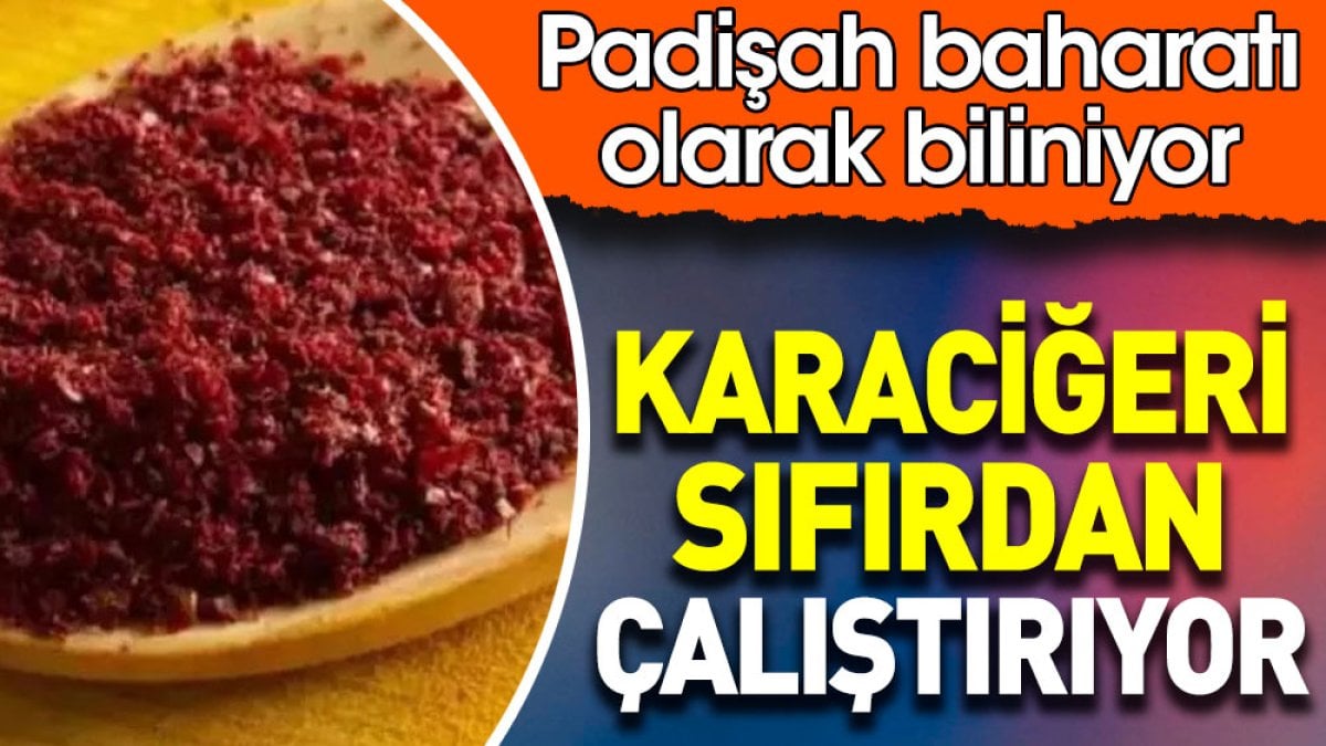 Padişah baharatı olarak biliniyor. Karaciğeri sıfırdan çalıştırıyor