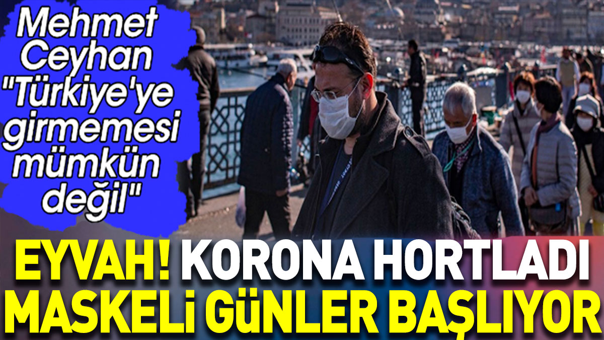 Eyvah! Korona hortladı maskeli günler başlıyor. Mehmet Ceyhan "Türkiye'ye girmemesi mümkün değil"