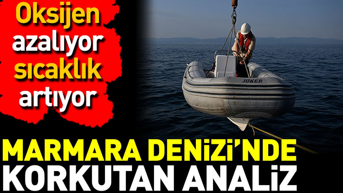 Marmara Denizi’nde korkutan analiz. Oksijen azalıyor sıcaklık artıyor