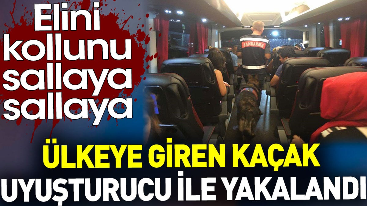 Ülkeye elini kollunu sallaya sallaya giren kaçak uyuşturucu ile yakalandı