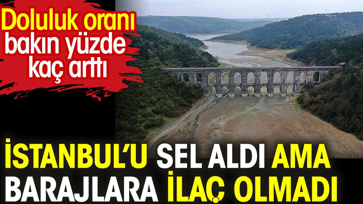İstanbul'u sel aldı ama barajlara ilaç olmadı. Bakın doluluk oranı yüzde kaç arttı