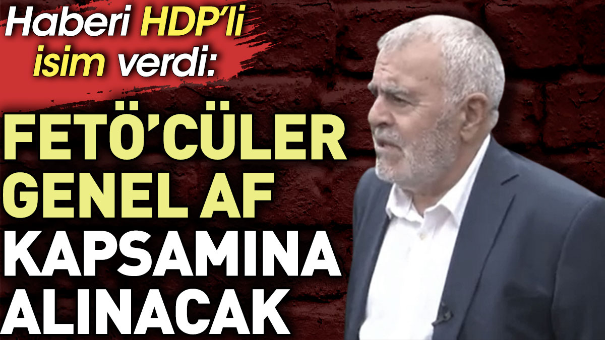 FETÖ'cüler genel af kapsamına alınacak. Haberi HDP'li isim verdi