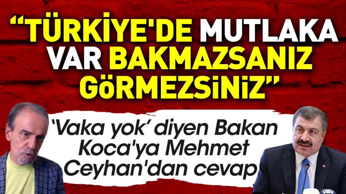 Mehmet Ceyhan'dan Bakan Koca'ya yeni varyant cevabı