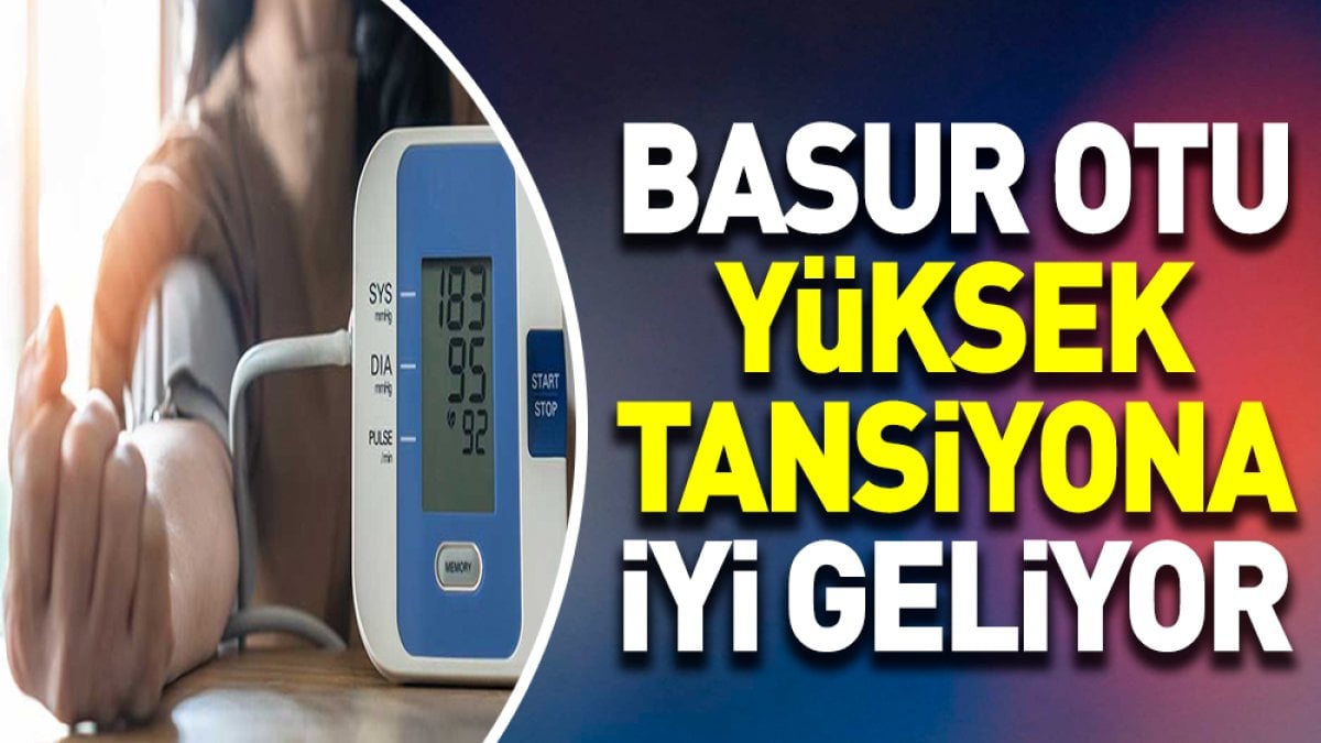 Yüksek tansiyona iyi gelen mucize ot