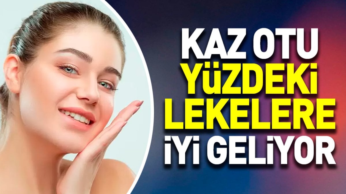 Yüzdeki lekelere iyi gelen mucize bitki