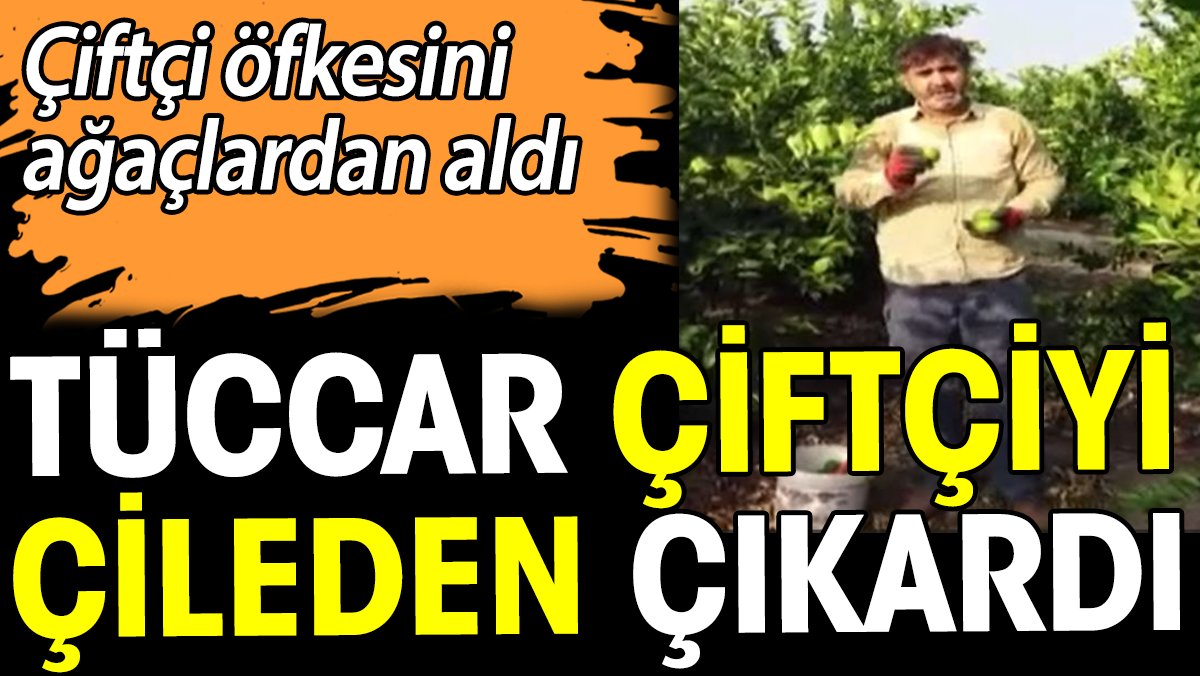 Tüccar çiftçiyi çileden çıkardı. Çiftçi öfkesini ağaçlardan aldı