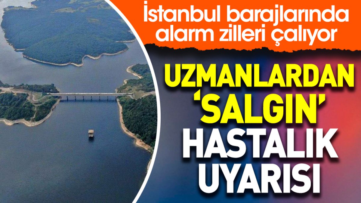 İstanbul barajlarında alarm zilleri çalıyor. Uzmanlardan ‘salgın’ hastalık uyarısı