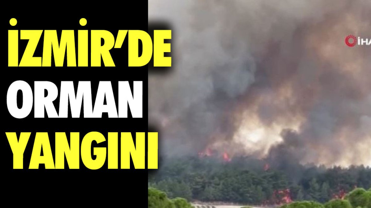 İzmir'de orman yangını. Alevlere helikopterlerle müdahale ediliyor