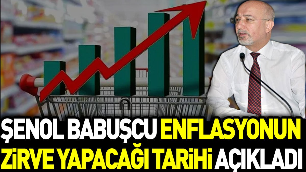 Şenol Babuşcu enflasyonun zirve yapacağı tarihi açıkladı