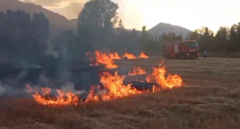 Erzincan'da anız yangını