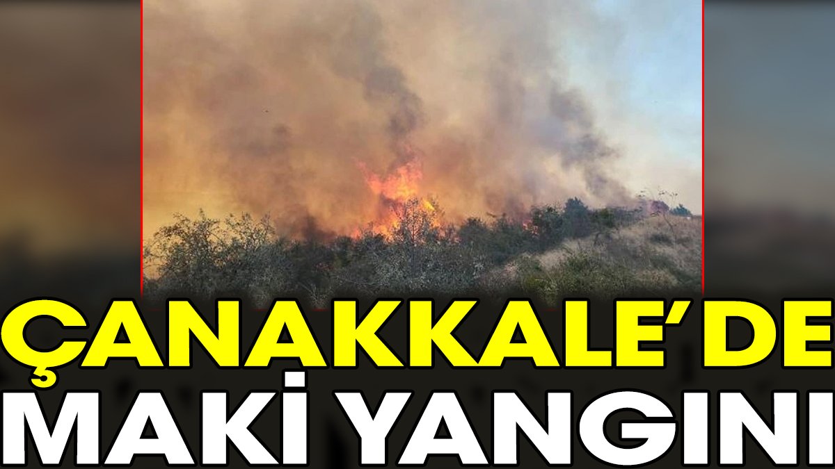 Çanakkale’de maki yangını