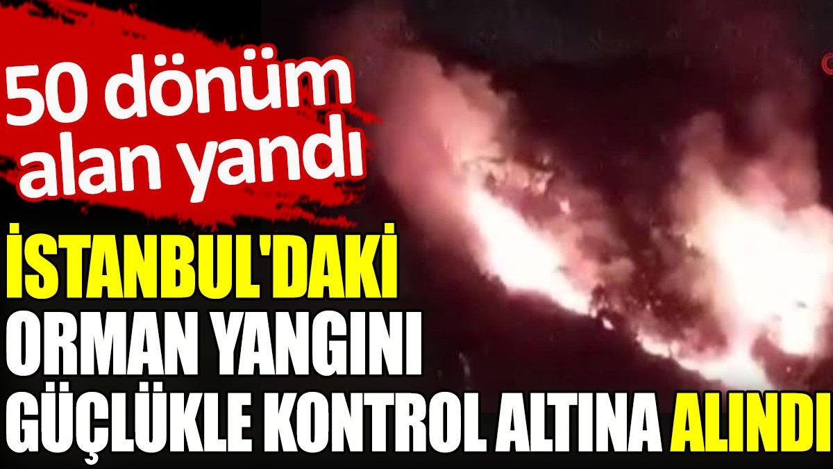İstanbul'daki orman yangını güçlükle kontrol altına alındı. 50 dönüm alan yandı