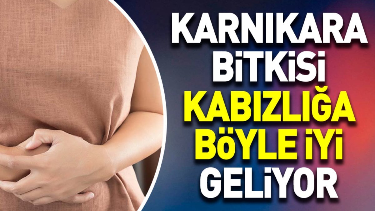 Kabızlığa iyi gelen mucize otun faydaları