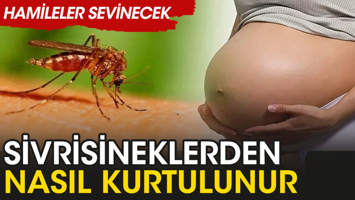 Hamile kadın sivrisinekten nasıl kurtulur